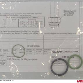 Dichtsatz Fs Coil 18 Horsch 00111045