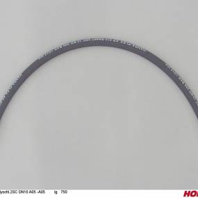 Hsdn10 2Sc Dkol12 Dkol12 750 Horsch 00120066