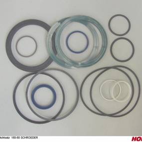 Dichtsatz 160-60 Schroeder Horsch 00130882