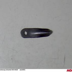 Sicherung Scharkeil 00310920 (Ab2005) Horsch 00310919