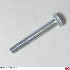 Sks 10 X 75 Din 931 8.8 Vz. Horsch 00360030