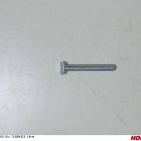 Sks 10 X 75 Din 933 8.8 Vz. Horsch 00360116