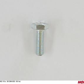 Sks 10 X 30 Din 933 8.8 Vz. Horsch 00360120