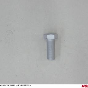 Sks 20X1,50 X 50 Din 961 10.9 Geom321A Horsch 00360188