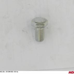 Sks 20 X 35 Din 933 8.8 Vz. Horsch 00360261