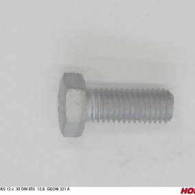 Sks 12 X 30 Din 933 12.9 Geom321A Horsch 00360408