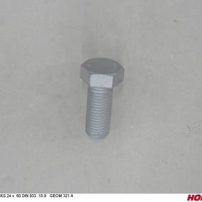 Sks 24 X 60 Din 933 10.9 Geom321A Horsch 00360418