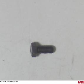 Sks 12 X 25 Din 933 8.8 Blank Horsch