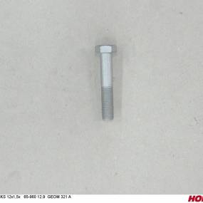 Sks 12X1,50 X 65 Din 960 12.9 Geom321A Horsch 00360635