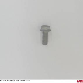 Sks 12 X 30 Bö.n.158 10.9 Zinklamelle Horsch 00360759