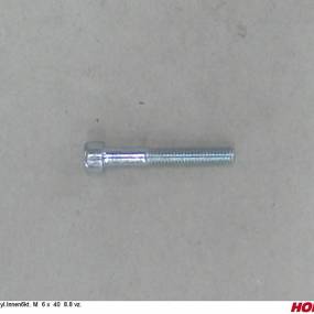 Zyl.innen6Kt. M 6 X 40 8.8 Vz. Horsch 00370204