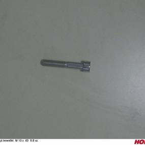 Zyl.innen6Kt. M 10 X 60 8.8 Vz. Horsch 00370205