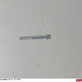 Zyl.innen6Kt. M 8 X 75 8.8 Vz. Horsch 00370611