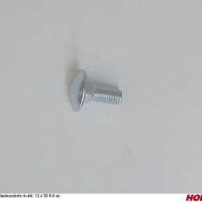 Flachrundschr.m.4Kt. 12 X 30 8.8 Vz. Horsch 00370644