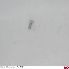 Sesmi 8 X 25 Din En Iso 10642 A2-70 Horsch 00370786