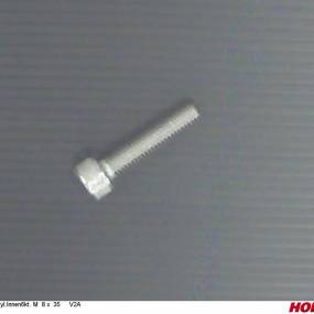 Zyl.innen6Kt. M 8 X 35 V2A (00370979) Horsch