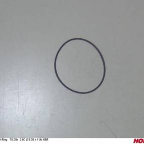 O-Ring 75.00X 2.00 (79.00 X 1.9) Nbr Horsch 00381065