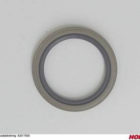 Radialdichtring 82017500 Horsch 00385833