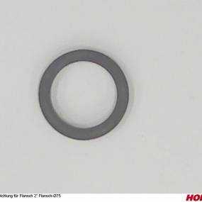 Dichtung für Flansch 2