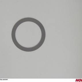 Ring Aussen Horsch 04006641