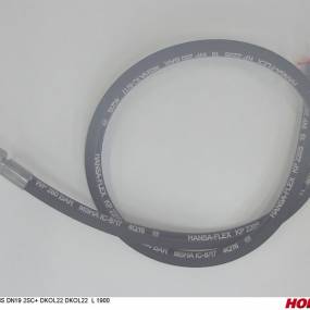 Hsdn19 2Sc+ Dkol22 Dkol22 1900 Horsch 36980174