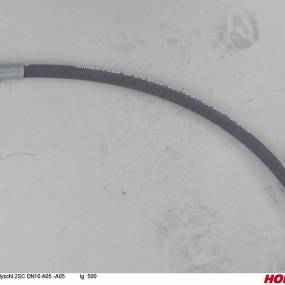 Hsdn10 2Sc Dkol12 Dkol12 500 Horsch 00120024