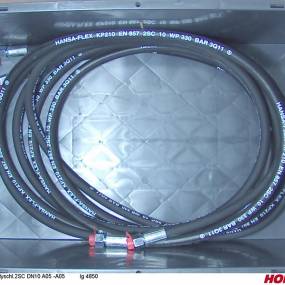 Hsdn10 2Sc Dkol12 Dkol12 4850 Horsch 00120351