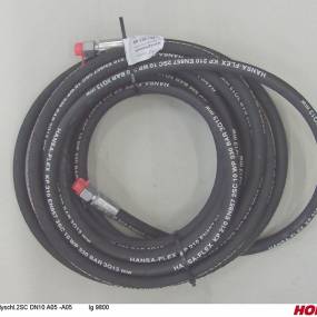 Hsdn10 2Sc Dkol12 Dkol12 9800 Horsch 00120716