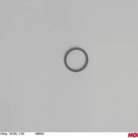 O-Ring 24.00X 2.50 Nbr90 Horsch 00260219
