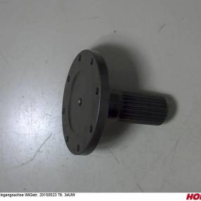 Eingangsachse Wigetr. 20150523 Tit. 34Uw Horsch 00300764
