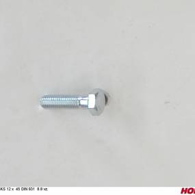 Sks 12 X 45 Din 931 8.8 Vz. Horsch 00360032