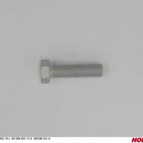 Sks 16 X 60 Din 933 12.9 Geom321A Horsch 00360206