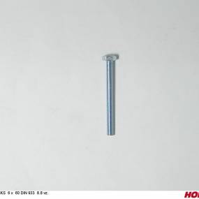 Sks 6 X 60 Din 933 8.8 Vz. Horsch 00360220