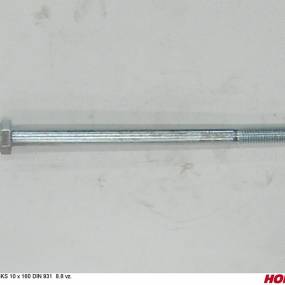 Sks 10 X 160 Din 931 8.8 Vz. Horsch 00360300