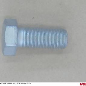 Sks 24 X 55 Din 933 10.9 Geom321A Horsch 00360320
