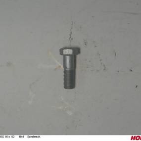Sks 16 X 50 10.9 Sondersch. Horsch 00360510