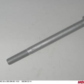 Sks 24 X 300 Din 931 10.9 Geom321A Horsch 00360629