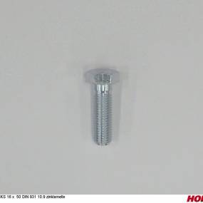 Sks 16 X 50 Din 933 10.9 Geom321A Horsch 00360824