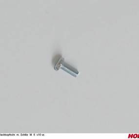 Flachkopfschr. M. Schlitz M 6 X16 Vz. Horsch 00370031