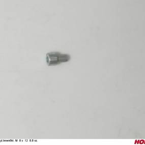 Zyl.innen6Kt. M 8 X 12 8.8 Vz. Horsch 00370142