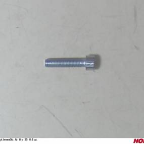 Zyl.innen6Kt. M 8 X 35 8.8 Vz. Horsch 00370187