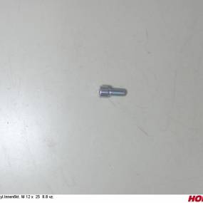 Zyl.innen6Kt. M 12 X 25 8.8 Vz. Horsch 00370206