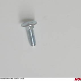 Flachrundschr.m.4Kt. 12 X 40 8.8 Vz. Horsch 00370302