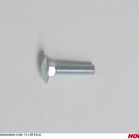 Flachrundschr.m.4Kt. 12 X 50 8.8 Vz. Horsch 00370336