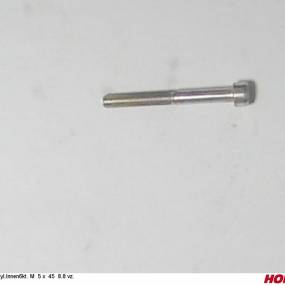 Zyl.innen6Kt. M 5 X 45 8.8 Vz. Horsch 00370399
