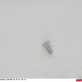 Sesmi 6 X 16 Din En Iso 10642 8.8 Vz. Horsch 00370419