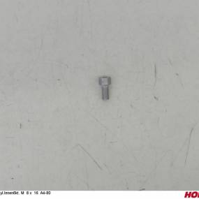 Zyl.innen6Kt. M 8 X 16 A4-80 Horsch 00370493