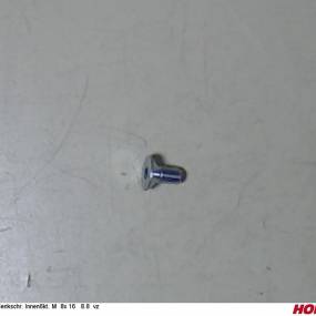 Sesmi 8 X 16 Din En Iso 10642 8.8 Vz. Horsch 00370500