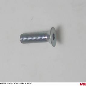 Sesmi 16 X 50 Din En Iso 10642 10.9 Zlü Horsch 00370523