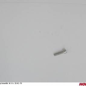 Zyl.innen6Kt. M 6 X 25 A2 -70 Horsch 00370707